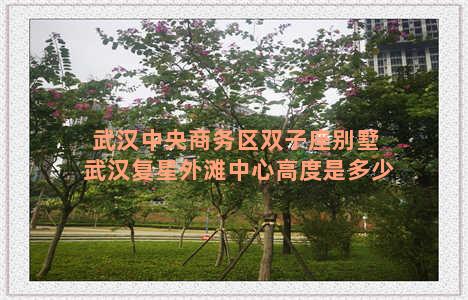 武汉中央商务区双子座别墅 武汉复星外滩中心高度是多少